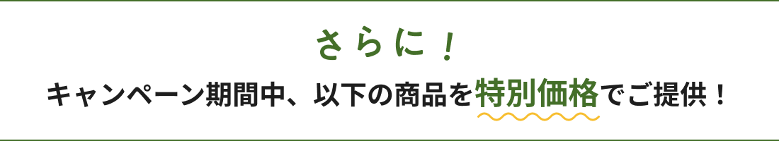 キャンペーン期間中、以下の商品を特別価格でご提供！