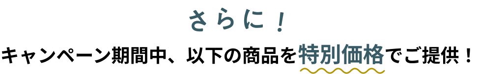 キャンペーン期間中、以下の商品を特別価格でご提供!